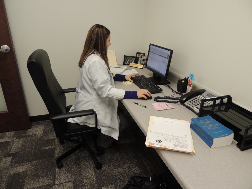 Associate Veterinarian Office